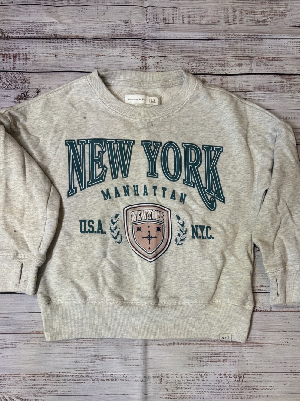 Abercrombie & Fitch Light Gray Crewneck with Teal and Tan Graphic